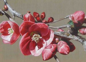 Sarah Caswell Studio & Gallery