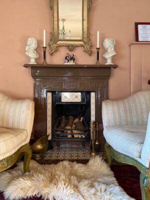 fireplace with cosy sheepskin rug