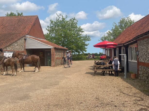 two chestnut horses in a gravel yard with single storey brick barns on left and right, while straight ahead is a view of a tall green-leafed tree under a blue sky with puffy white clouds